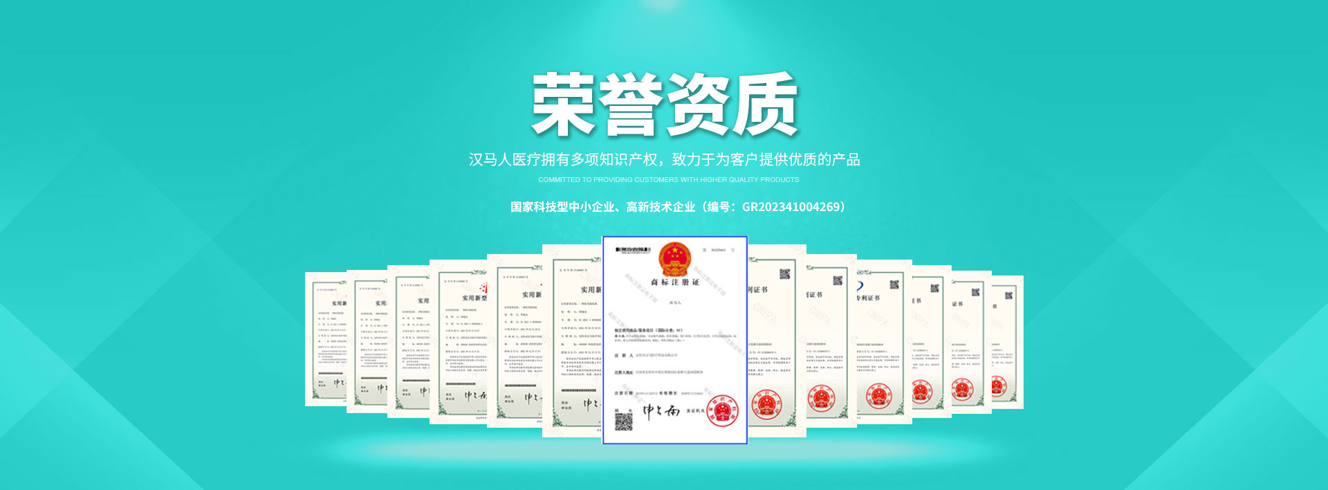 安陽(yáng)市漢馬醫療科技有限公司_PC